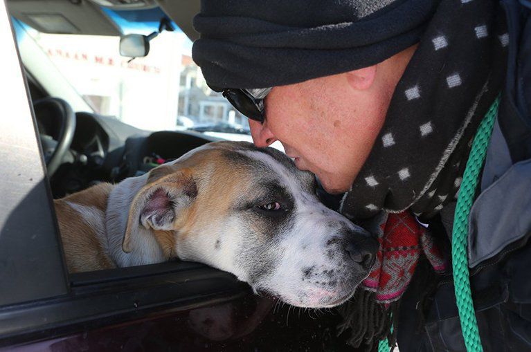 Stray Rescue looks for cold animals in 2014